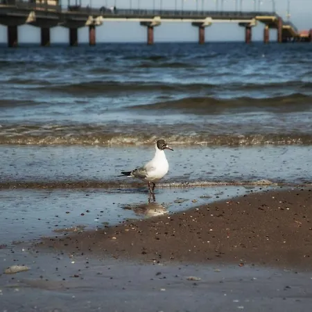 Playa Baltis 10 Apartment Miedzyzdroje