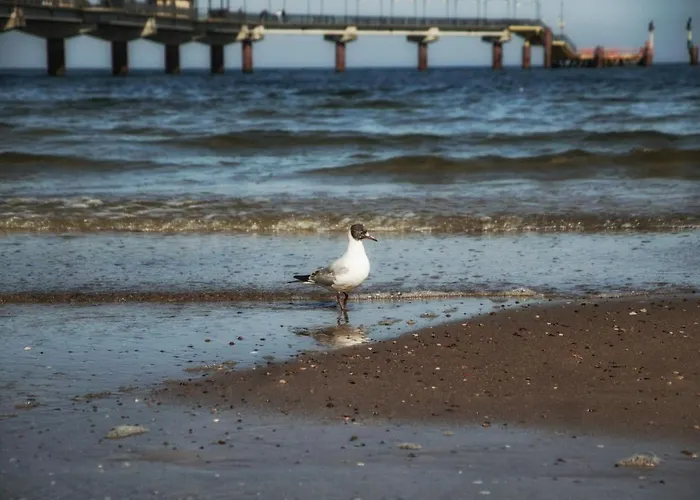 Playa Baltis 10 Apartment Miedzyzdroje